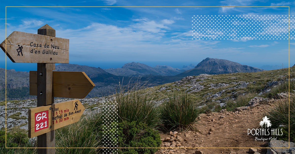 boutique-hotel-mallorca-all-about