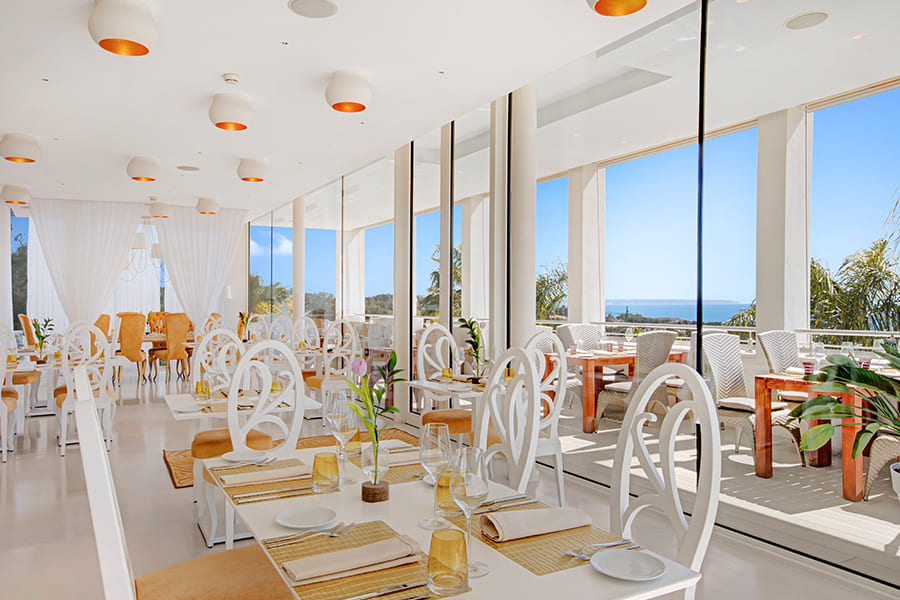 Private experience in Portals Hills